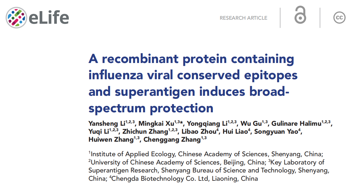 流感病毒研究中BeaverBeads Protein A/G抗体纯化磁珠的应用