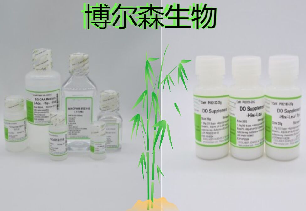 拟南芥生芽培养基（含蔗糖、植物凝胶、激素）（pH5.8±0.2）