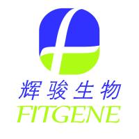 哺乳动物细胞表达载体—辉骏生物
