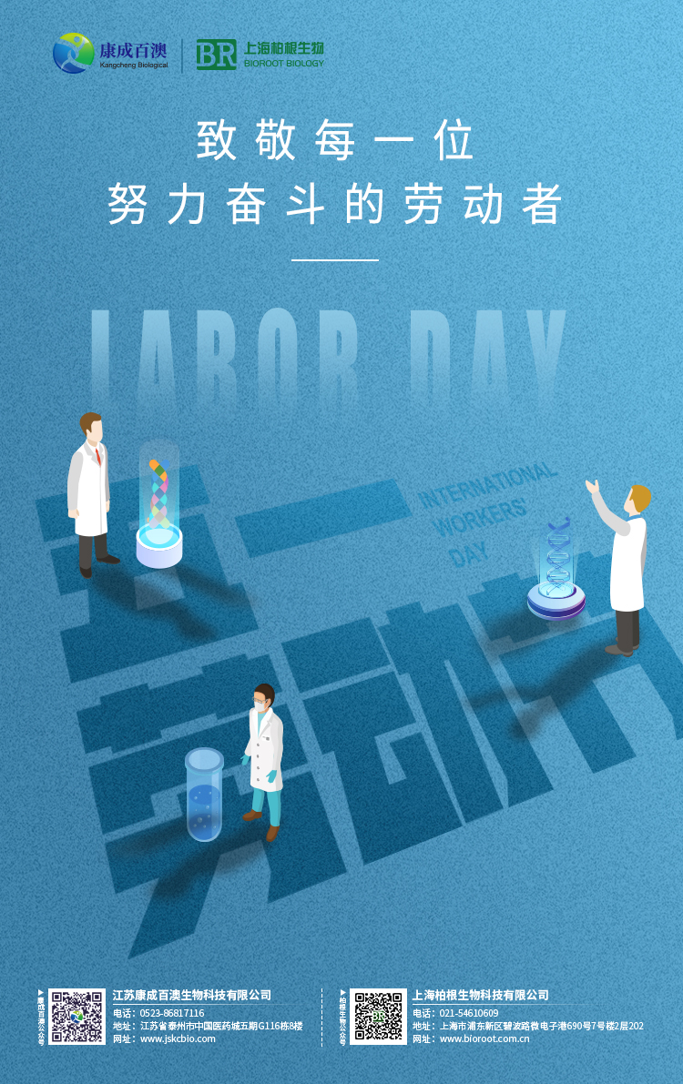 五一劳动节：致敬每一位努力奋斗的劳动者