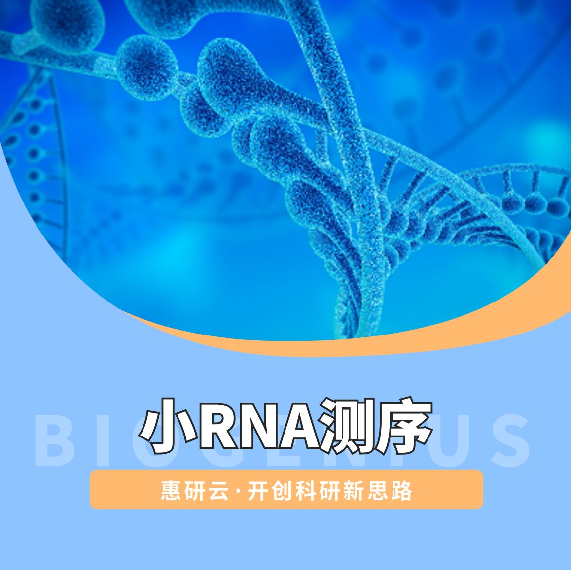 小RNA测序