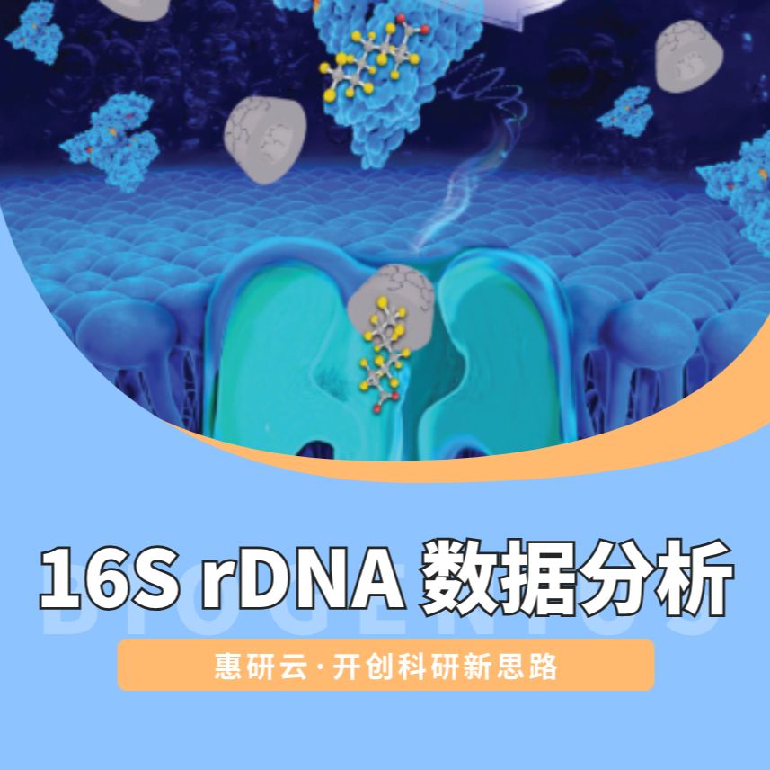 App MG-01 16S rDNA 数据分析