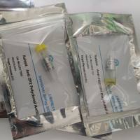 兔抗大鼠磷脂爬行酶4(PLSCR4)抗体