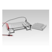 拓赫DYCP-4水平电泳槽核酸凝胶蛋白制胶器水平电泳仪