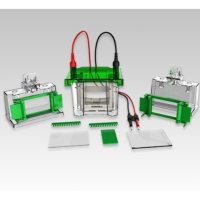 拓赫DYCZ-2垂直电泳槽核酸凝胶蛋白制胶器垂直电泳仪