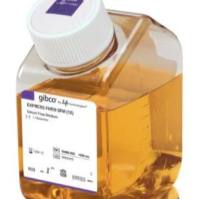 Express Five™ SFM ,10486025