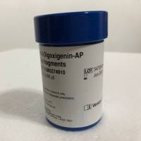 Roche_11093274910抗Digoxin-AP[Fab片段]13611631389上海睿安