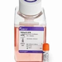 Defined Keratinocyte-SFM (1X), Liquid  ,10744019