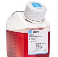 DMEM, high glucose,11965084,11965092