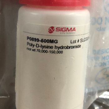 Sigma货号P0899多聚D赖氨酸氢溴suān盐13611631389上海睿安生物