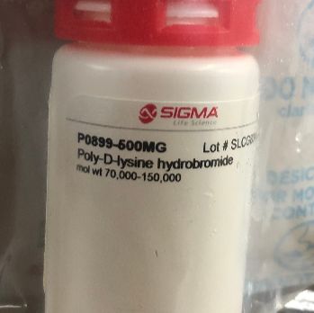 Sigma P0899-500mg现货Poly-D-lysine多聚-D-赖氨酸氢溴suān盐