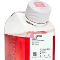 MEM,不含谷氨酰胺,(MEM) Minimal Essential Medium,11090081,,11090073