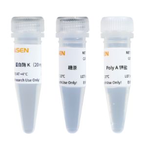 MolPure®磁珠法残留DNA样本前处理试剂盒（瓶装）