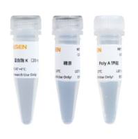 MolPure®磁珠法残留DNA样本前处理试剂盒（瓶装）