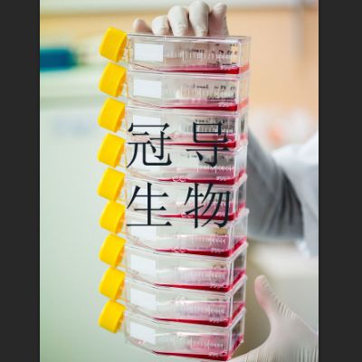 气单胞菌鉴别琼脂培养基权威厂家