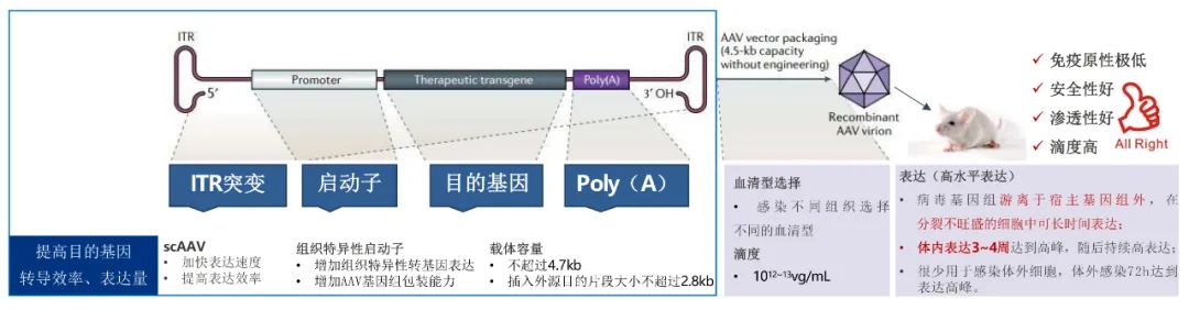新闻图片4
