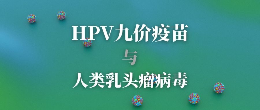 HPV九价疫苗与人类乳头瘤病毒