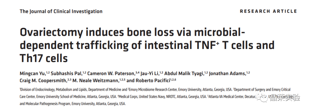 国自然热点通路研究文献之”卵巢去势通过肠道菌群驱动TNF+T细胞和Th17细胞运输诱导骨缺失“