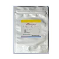 彩色qPCR试剂盒（预混ROX1）