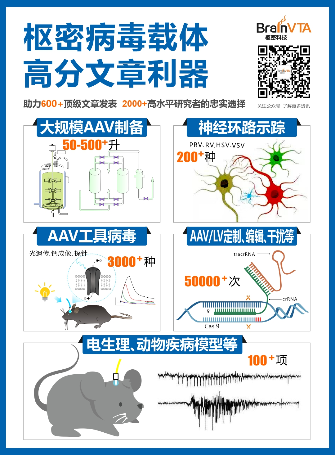 Nature遗传学综述|AAV基因递送治疗遗传疾病的研究进展与挑战_公司新闻_丁香通