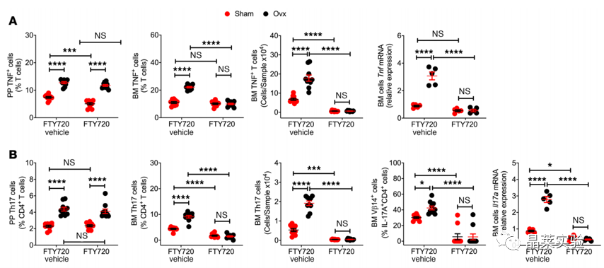 技术资料图片10