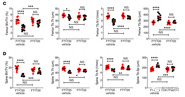 技术资料图片11