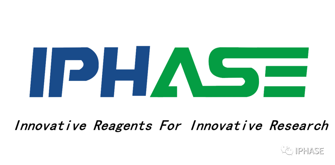 外周血单个核细胞（PBMC）