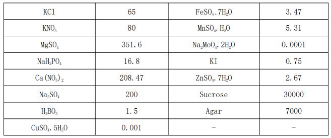 White培养基(含蔗糖、琼脂粉)