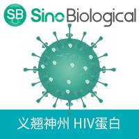 重组人类免疫缺陷病毒 (HIV-1) gp120 蛋白 (His标签),生物素标记