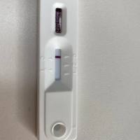 疟原虫抗原快速检测试剂盒（胶体金法）