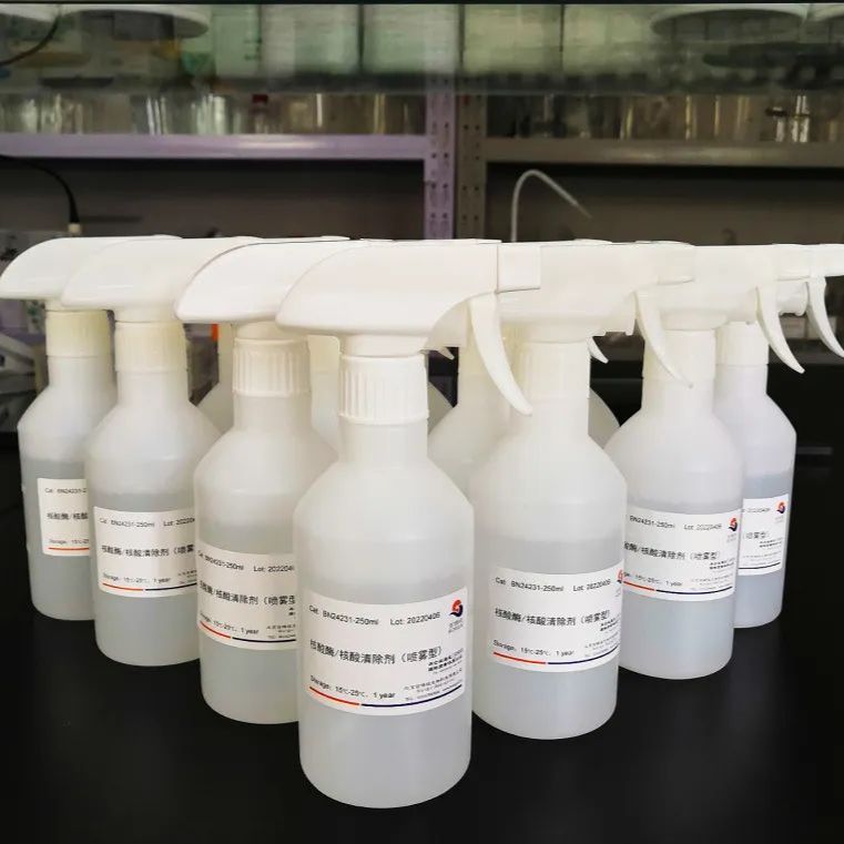 核酸酶/核酸清除剂（喷雾型）