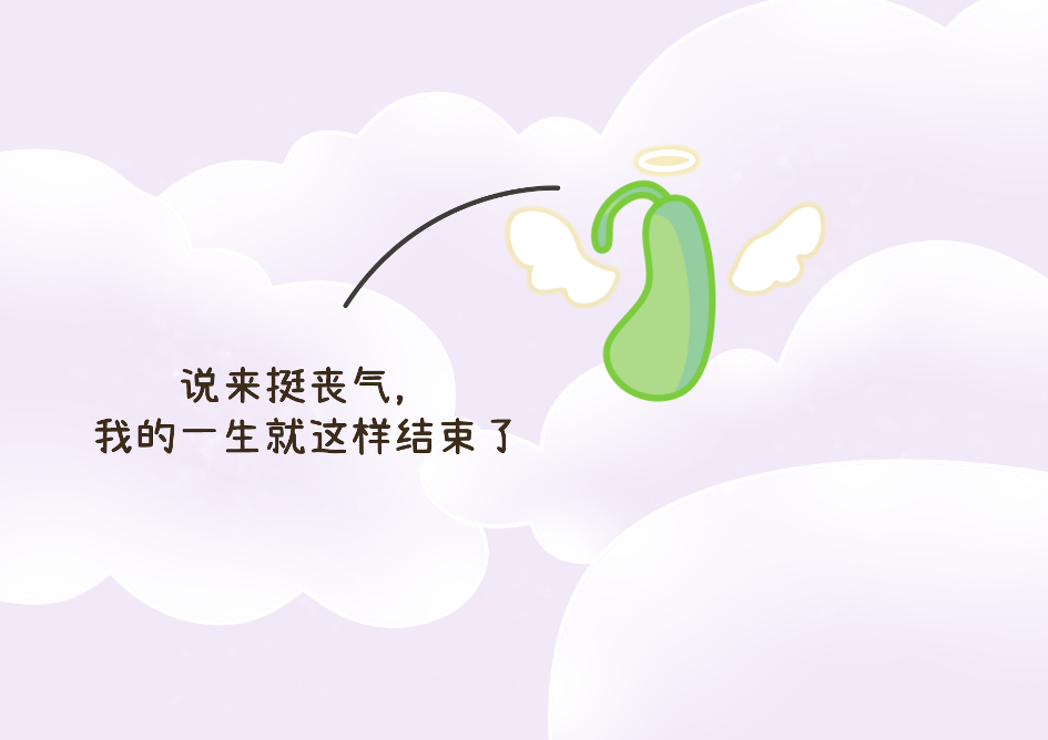 社畜保命必看：第一批 90 后的胆已经废了