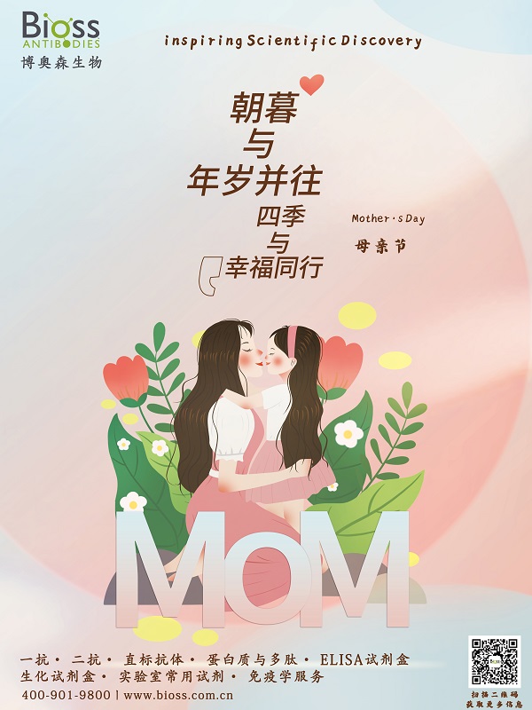新闻图片3
