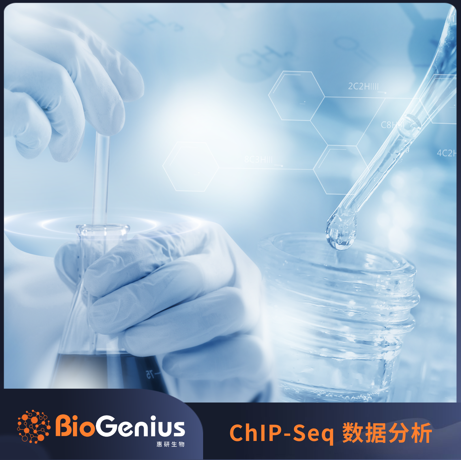 ChIP-Seq 转录因子结合位点的基序分析