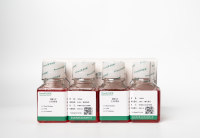 DMEM低糖完全培养基(含10%FBS)