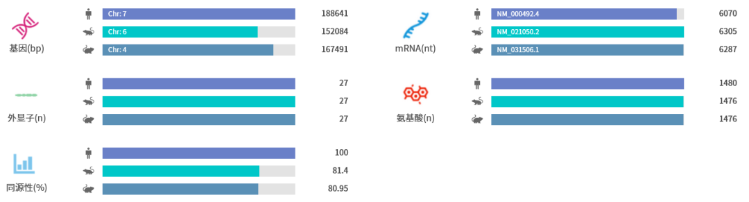 【每周一鼠】让爱相隔六英尺的CFTR基因（罕见病囊性纤维化致病基因）