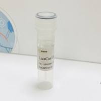 LwaCas13a酶（50pmol免费领取试用装）