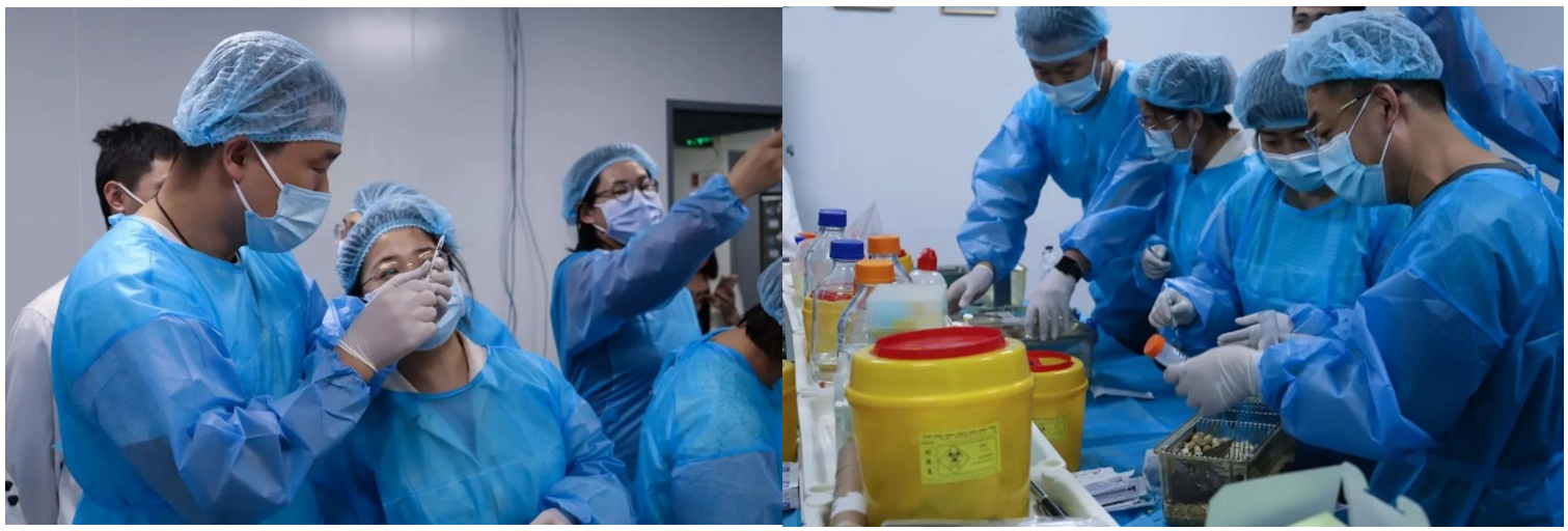 拓普联合美格基因举办免费动物实操培训，还有博士主题分享！快来报名吧