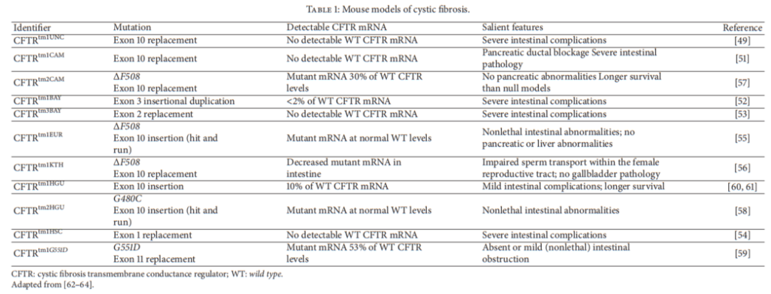【每周一鼠】让爱相隔六英尺的CFTR基因（罕见病囊性纤维化致病基因）