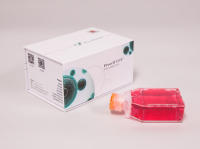 NCI-H1975细胞 (人肺腺癌细胞) (STR鉴定正确)