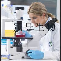 沙氏葡萄糖琼脂培养基全国供货