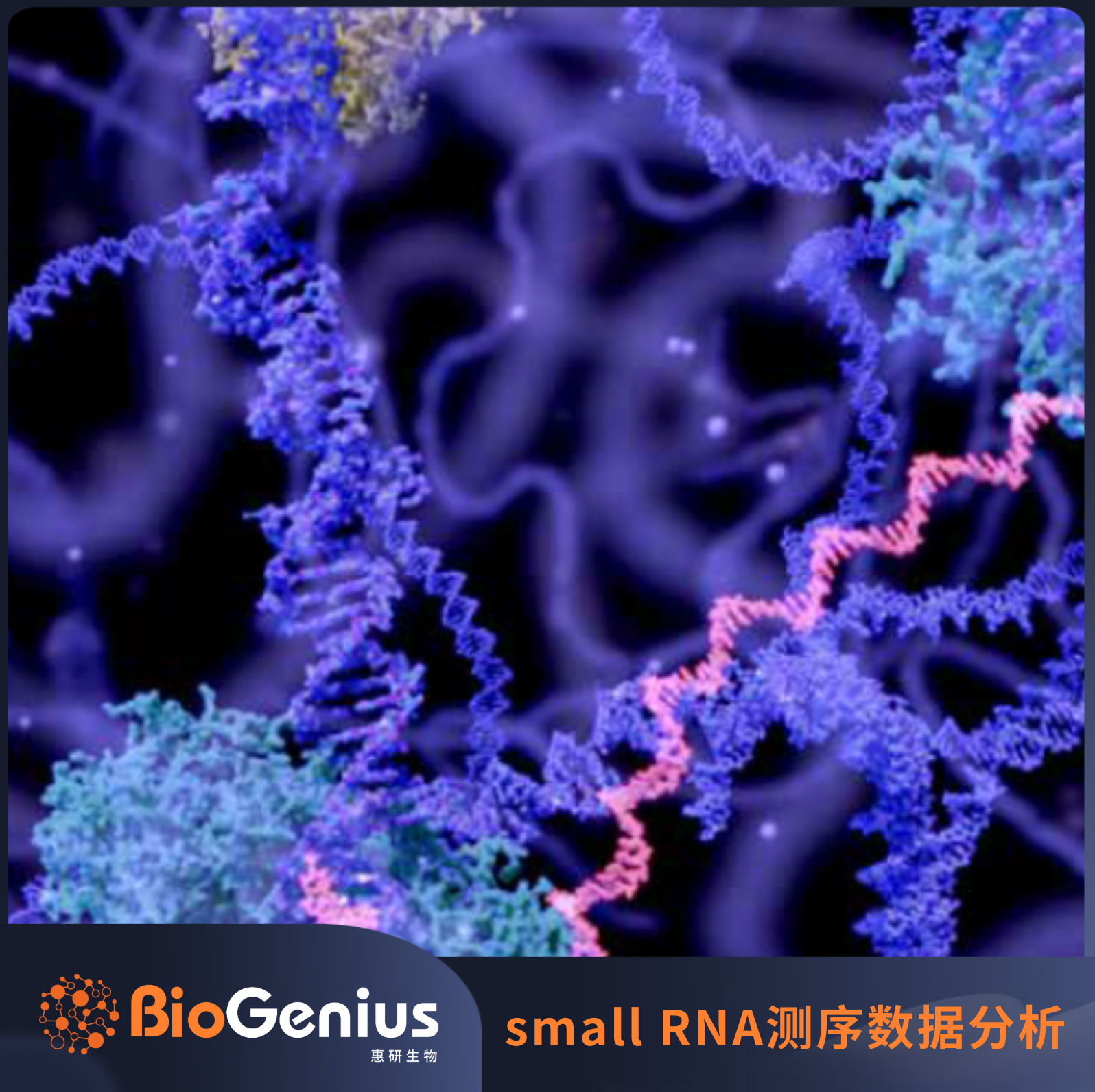 circRNA 环状RNA测序