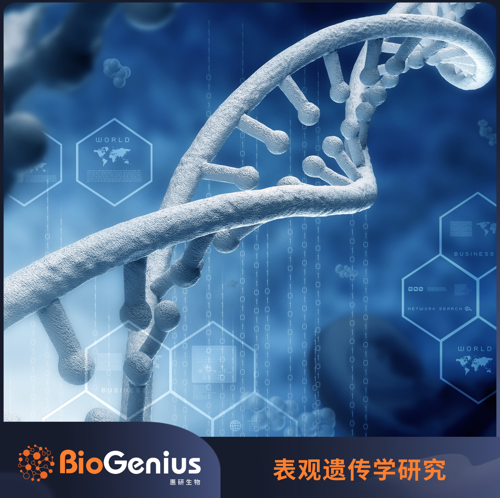 App Epi-04 DNA甲基化与核小体组织