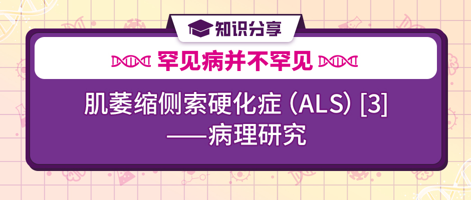 【罕见病并不罕见】原来ALS肌萎缩侧索硬化症的致病元凶竟是……