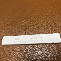 葡萄球菌抗体快速检测试剂盒(仅供科研)