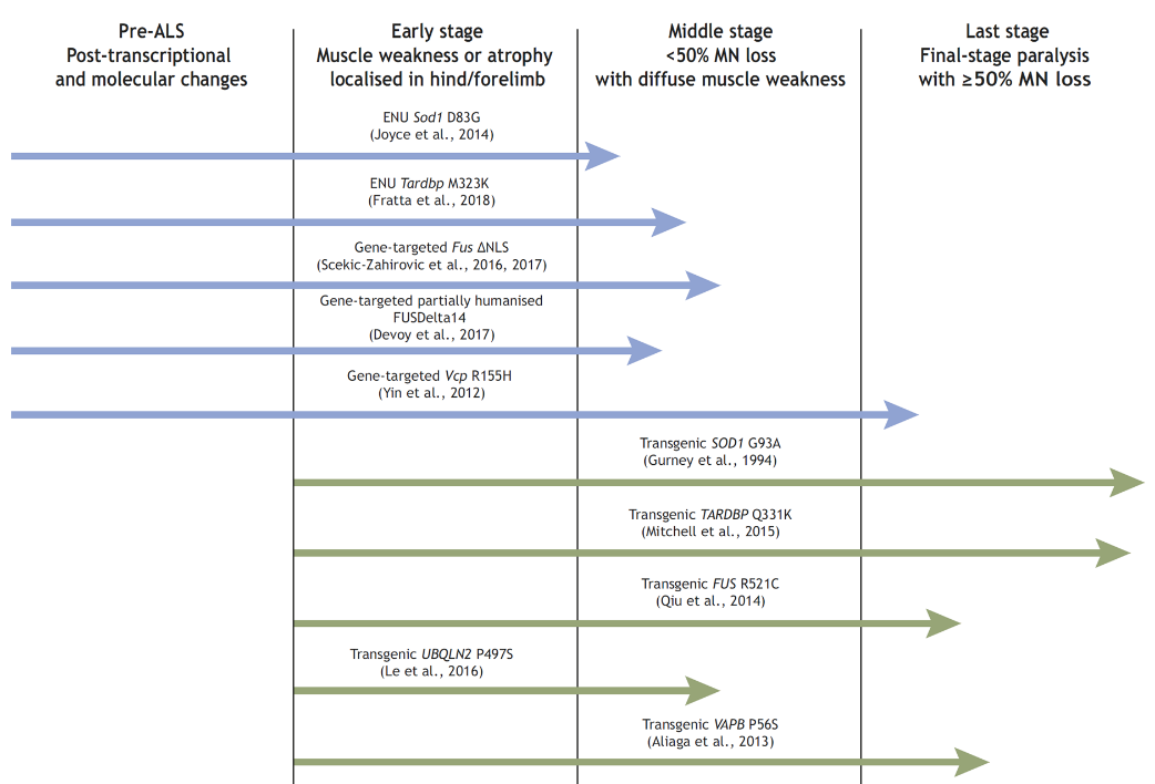 【罕见病并不罕见】原来ALS肌萎缩侧索硬化症的致病元凶竟是……