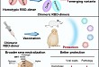 Cell：微生物所在新一代新冠肺炎重组蛋白疫苗研究领域取得重要进展