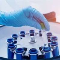 蛋白质序列分析的生物学意义