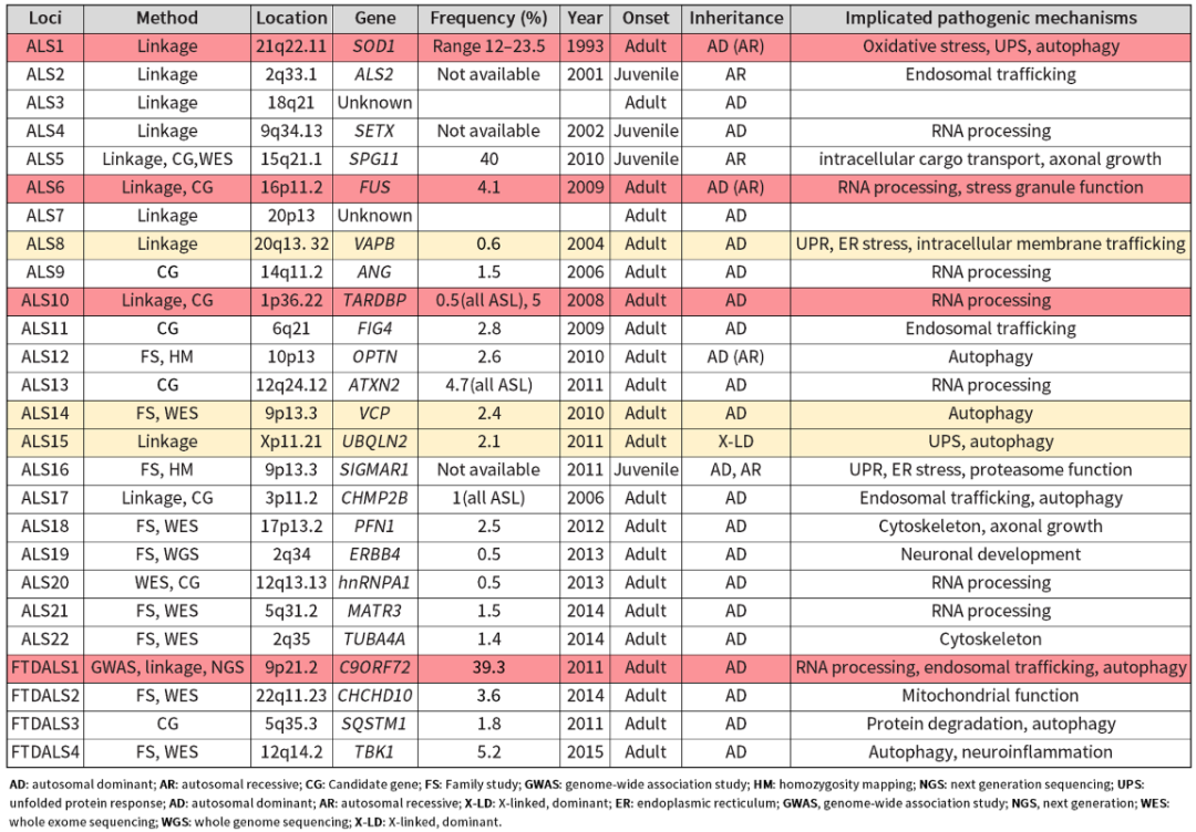 【罕见病并不罕见】原来ALS肌萎缩侧索硬化症的致病元凶竟是……