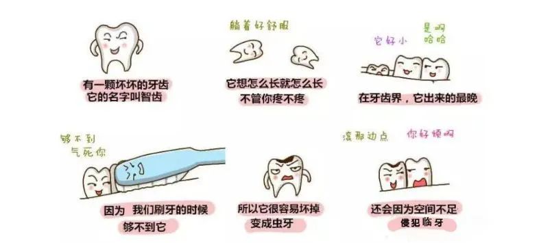 智齿是智慧的象征吗？拔掉后，智商会降低吗？